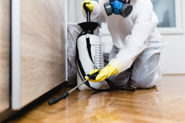 Best Mosquito Control Services  in Delano, MN