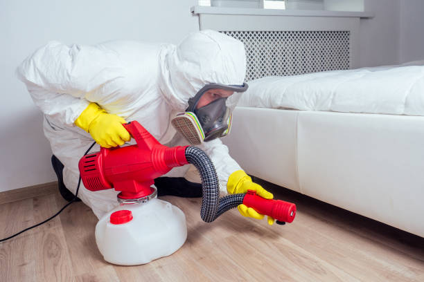 Wasp Removal Services in Delano, MN
