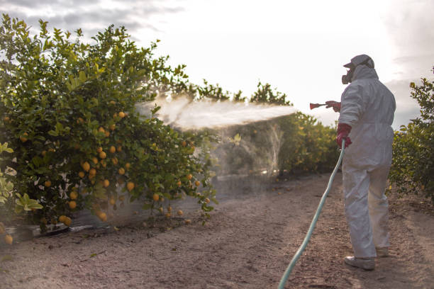 Best Residential Pest Control  in Delano, MN
