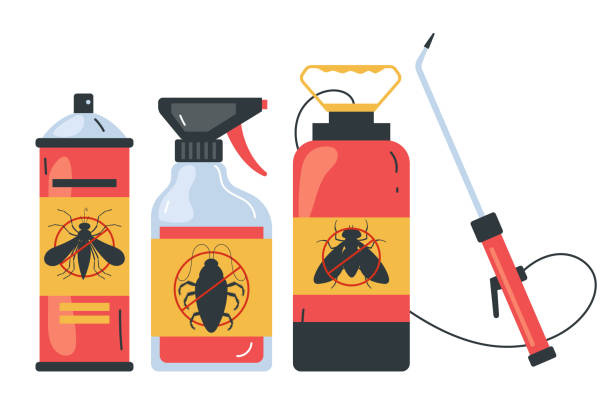 Best Insect Control  in Delano, MN