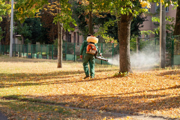 Best Exterminator Services  in Delano, MN